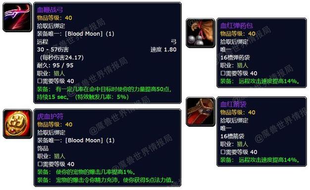 魔兽世界萨满全职业饰品,魔兽世界：萨满职业装备全解析!